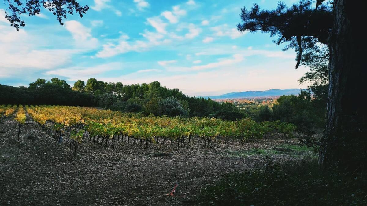 L'Appartement De L'Arche Châteauneuf-de-Gadagne Eksteriør billede